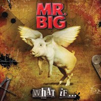 Mr. Big